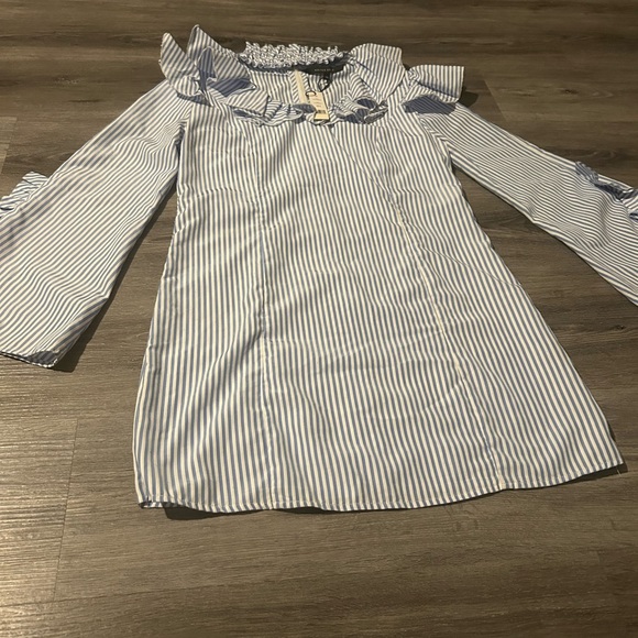 Walter Baker Blue and White Striped Dress - Picture 4 of 6